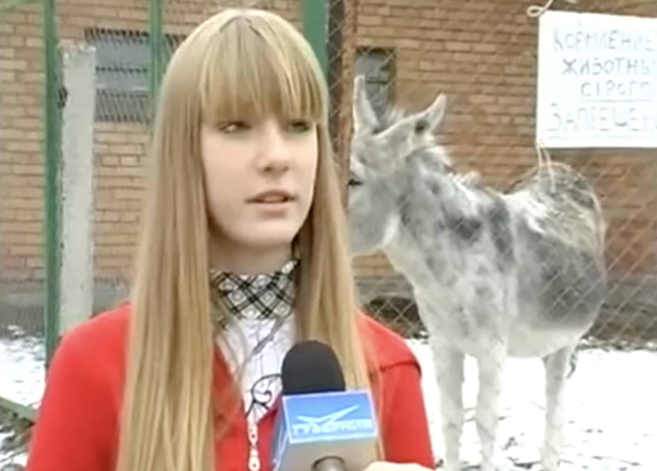 Donkey Speaks
